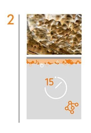 Disolución molecular de la grasa en campanas extractoras